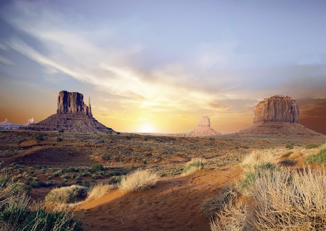 Arizona Matchmaker